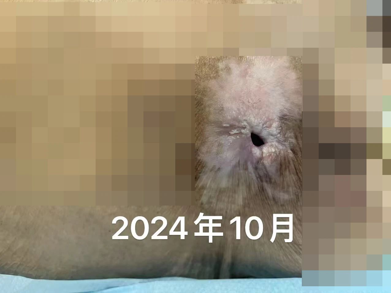 1742348390104683.jpg 3.jpg