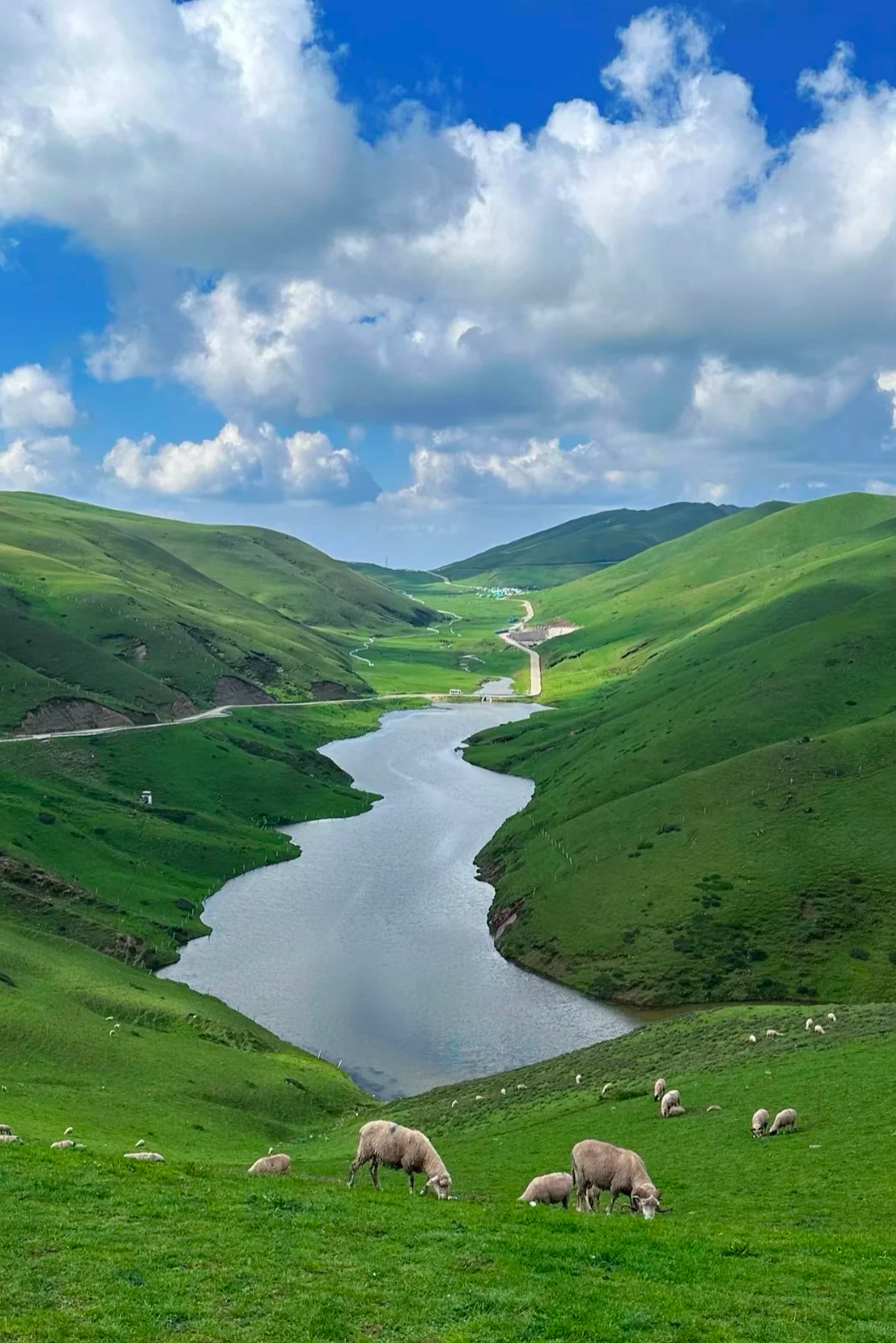 <b>立即行动为家人预约健康选择康源家庭病床就是选择一份安心与专业 让爱不再奔波在家也能享受星级医疗照护</b>